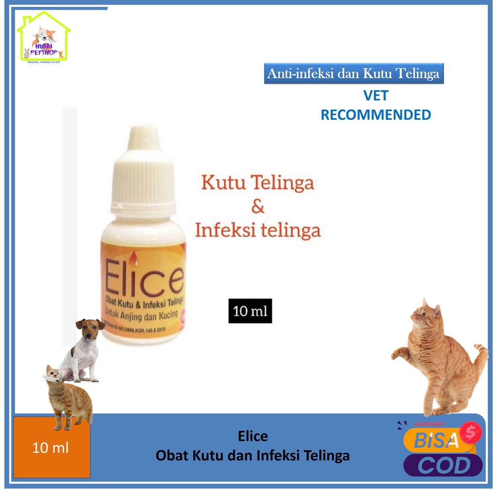 OBAT KUTU TELINGA KUCING - ELICE OBAT TELINGA KUTU DAN INFEKSI TELINGA EAR MITES UNTUK KUCING DAN ANJING