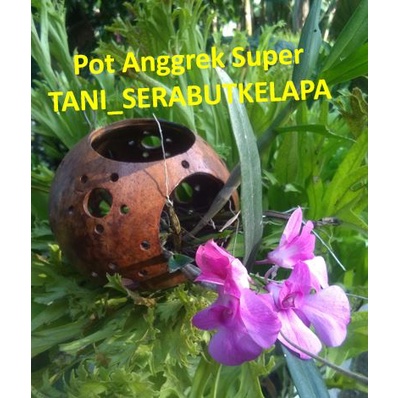 POT BUNGA ANGGREK TEMPEL DINDING - POT BUNGA ANGGREK SERABUT KELAPA - POT SERABUT KELAPA