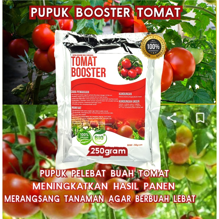 Pupuk Organik Pelebat Tomat Booster Perangsang Buah , Pupuk Pelebat Buah Tomat Tomat cherry Tomat hi