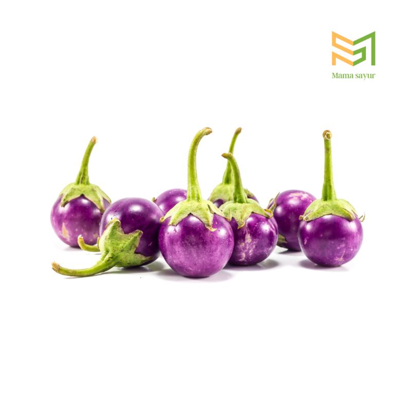 

Terong ungu bulat segar per pack