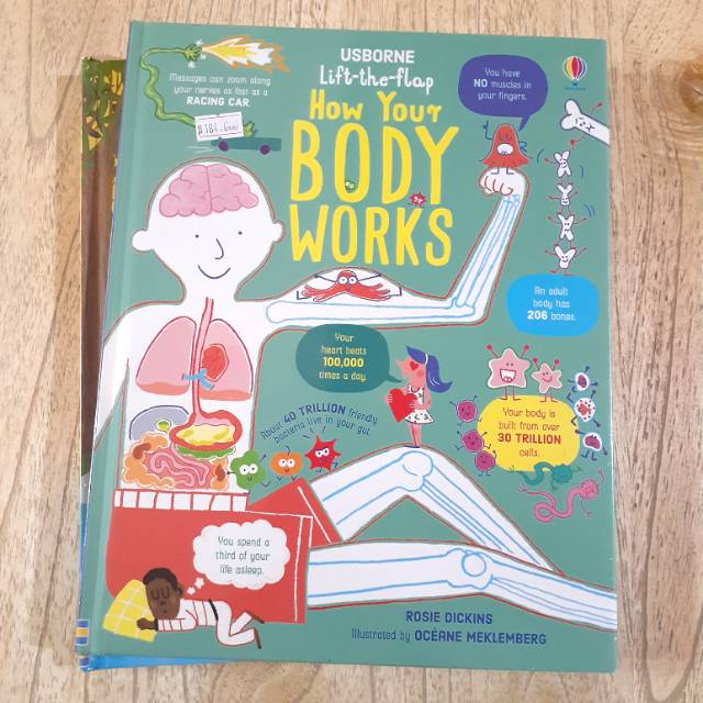 Usborne lift the flap how your body works
