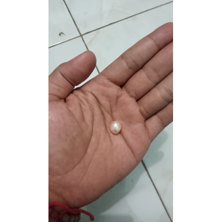 Mutiara Air Laut Maluku Original