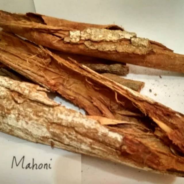 Kayu mahoni  1kg pewarna alami batik