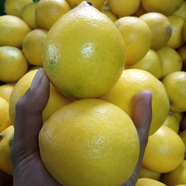 

LEMON CALIFORNIA GRADE A 1KG BUAH LEMON SEGAR DAN FRESH LEMON SUPERMARKET