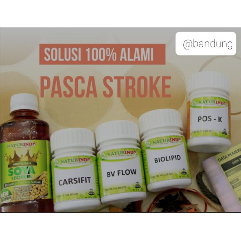 Paket Herbal Pengobatan Pasca Stroke Naturindo