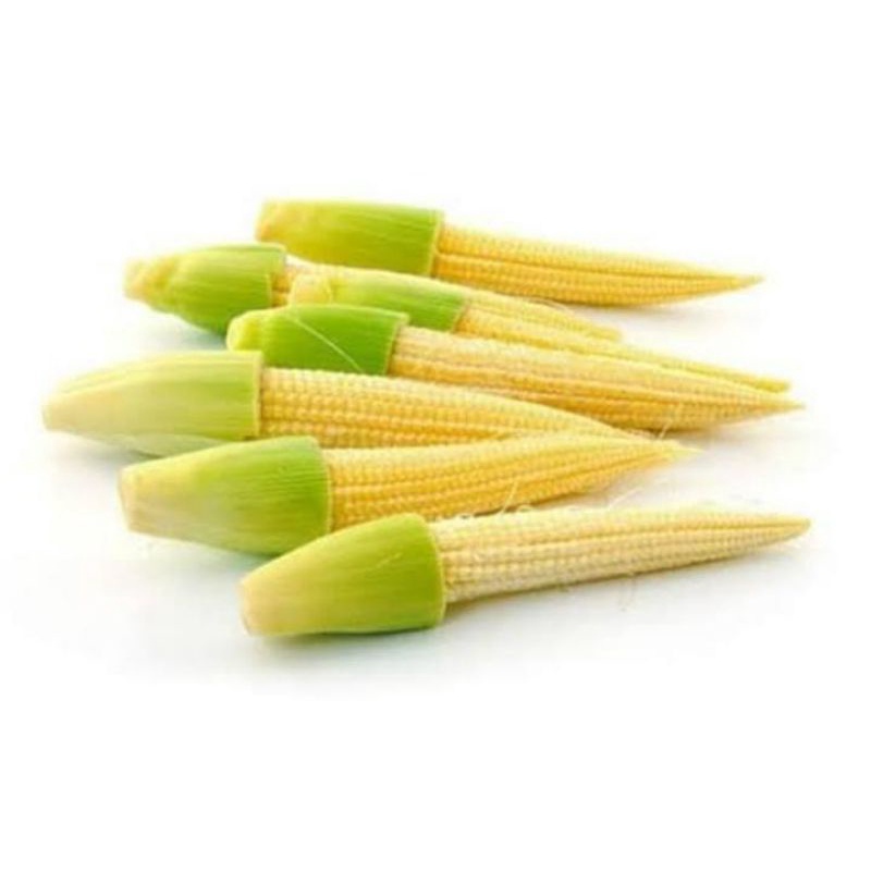 

BABY JAGUNG / ANAK JAGUNG / JANTEN PER 250 GRAM