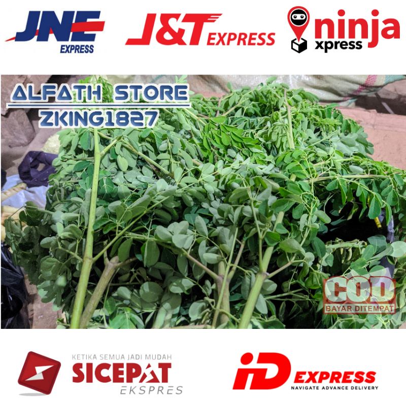 

Daun kelor segar(300 gram)