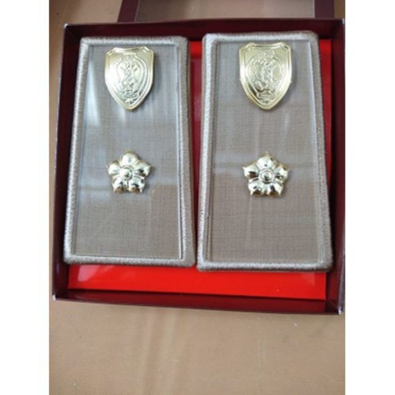 PANGKAT ASN PEMPROV Kalteng GOL 3D,4A,4B - EXCLUSIVE HIGTQUALITY