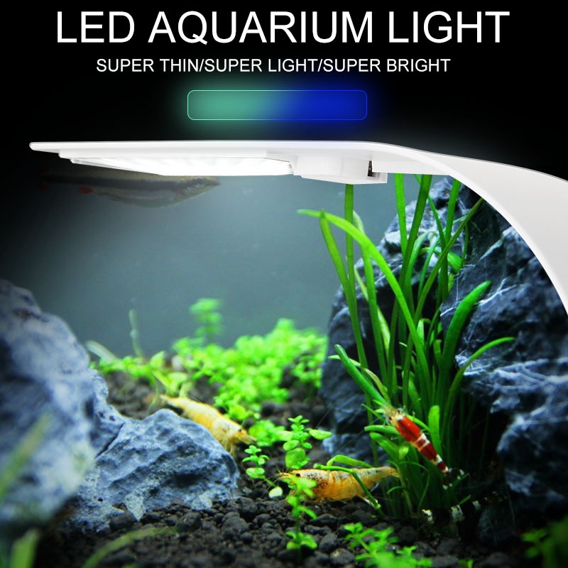 Lampu Aquarium LED Light Super Slim Clip On 10W 5730K