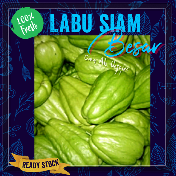 

LABU SIAM BESAR / BIG CHAYOTE Per 1 pcs SAYURAN SEGAR