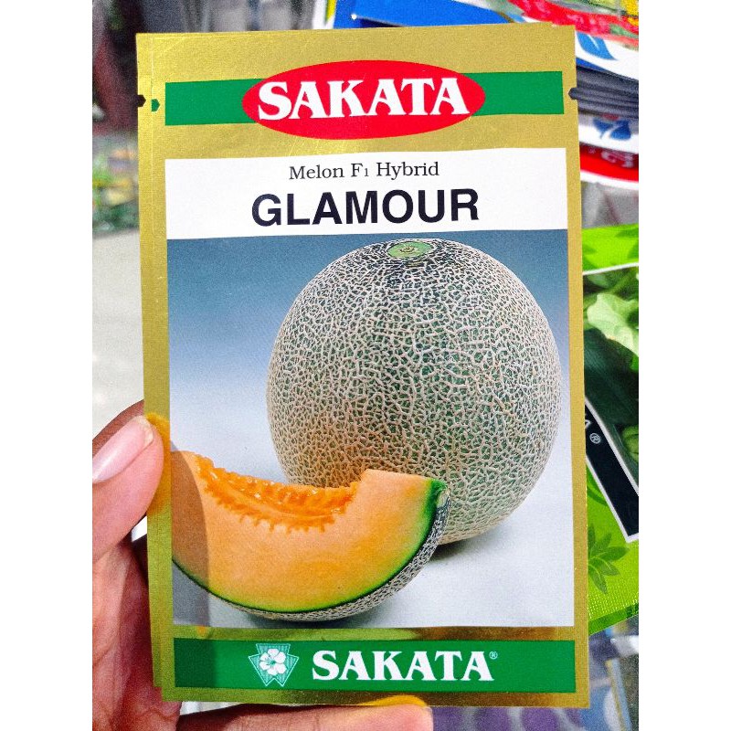 Melon Hibrida GLAMOUR dari SAKATA