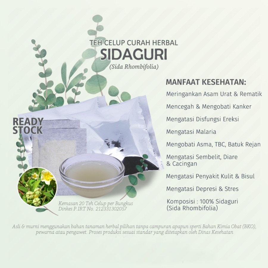 

Teh Celup Herbal SIDAGURI (Sida Rhombifolia) untuk Disfungsi Ereks1, Eksim, Gatal, dan Sakit Gigi