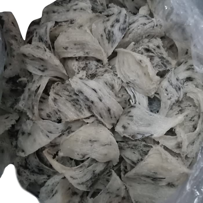 

Kkeanashop Sarang Burung Walet Kotor