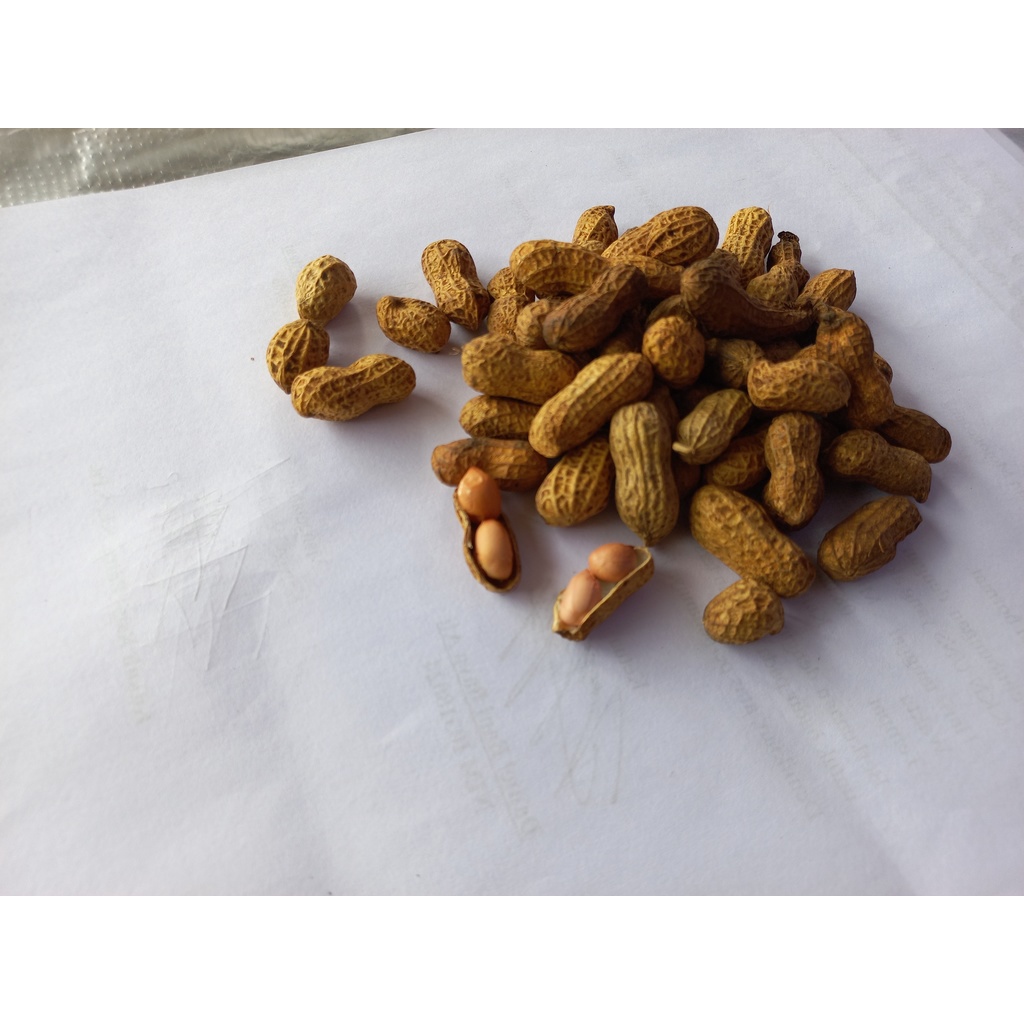 

kacang Sangrai