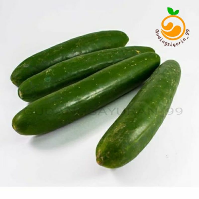 

Timun jepang / Kyuri 500 gram