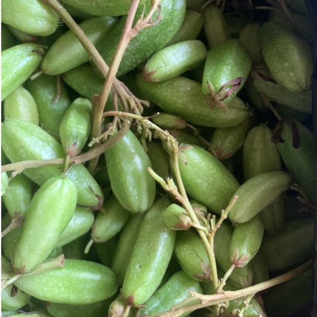 belimbing wuluh 500gr ceremai