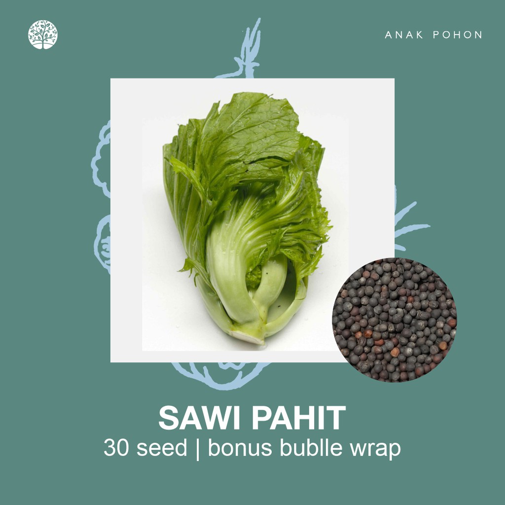 SERBA SERIBU - Benih Bibit Biji - Paket Benih Sayuran DAUN Termurah Kangkung Sawi Selada Seledri Kol-Sawi Pahit