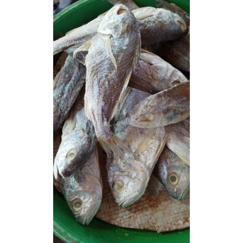 

Ikan Asin Kepala Batu