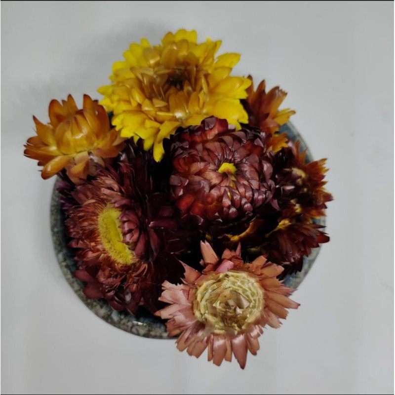 

50gr Yunnan Wild Colourful Chrysanthemum Flower Tea