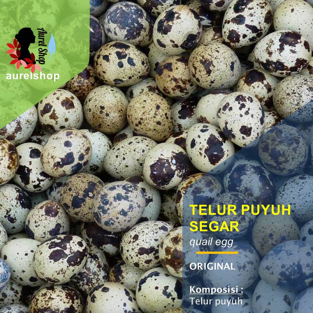 

Telur Puyuh Segar 1 kg