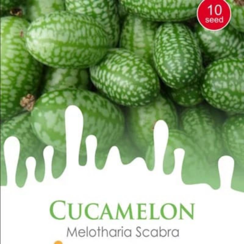 

1 Pack Biji CUCAMELON