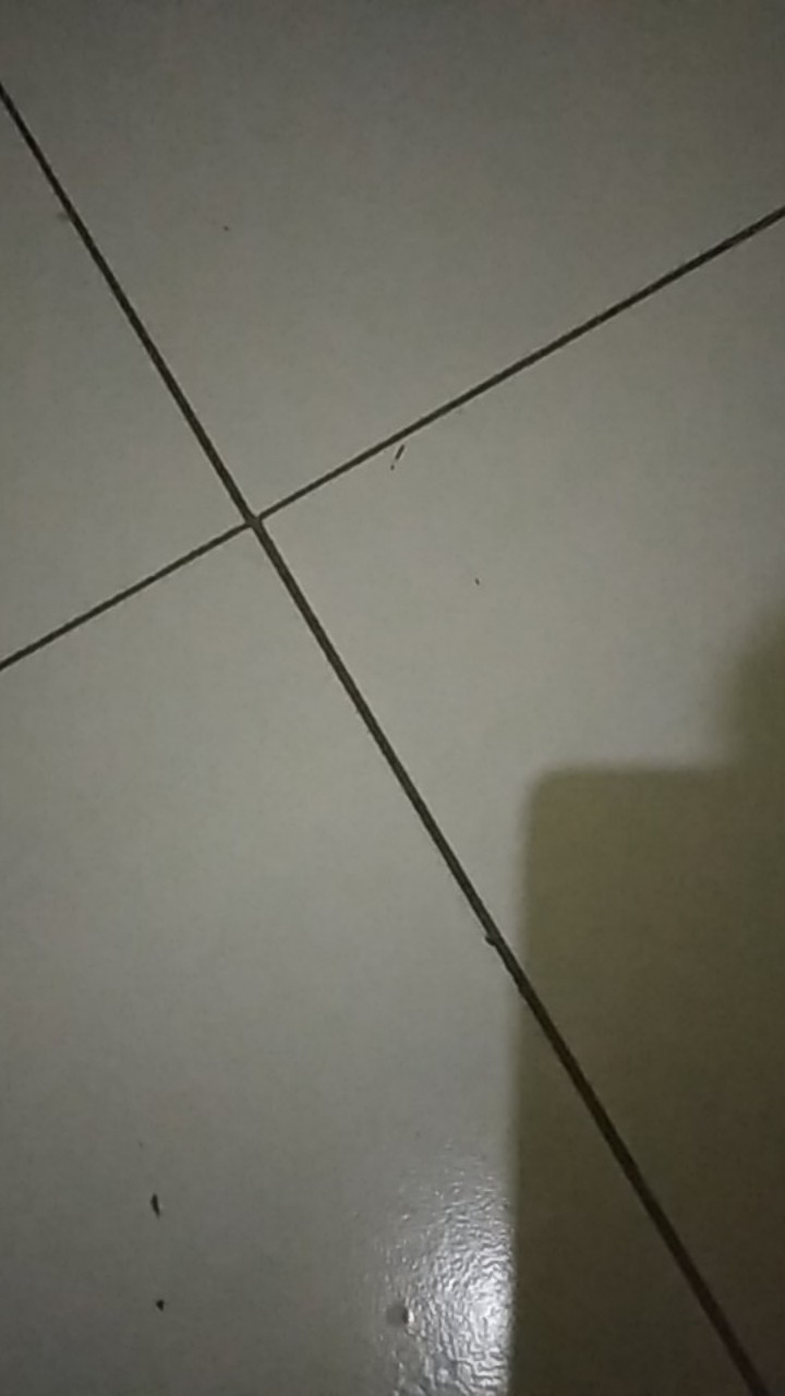 Hormonik (hormon Organik)  Original Asli Pt.  Natural Nusantara (nasa) Cair Terbaik