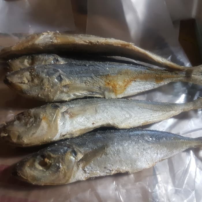 

Ikan Asin Japuh Layang Asin Net 1 Kg