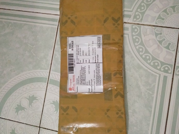 Tanaman Hias Crossandra