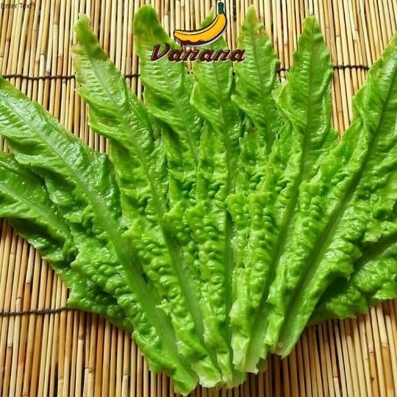 

sayur segar fumak 500 gram