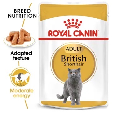 ROYAL CANIN Pouch BRITISH short hair Wet Food