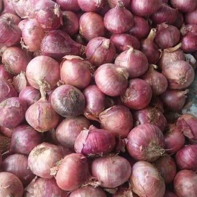 

Bawang merah