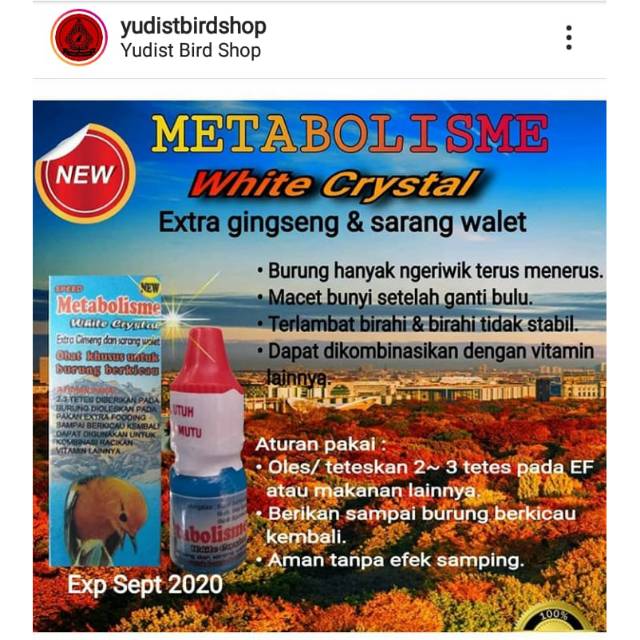 Metabolisme White Crystal