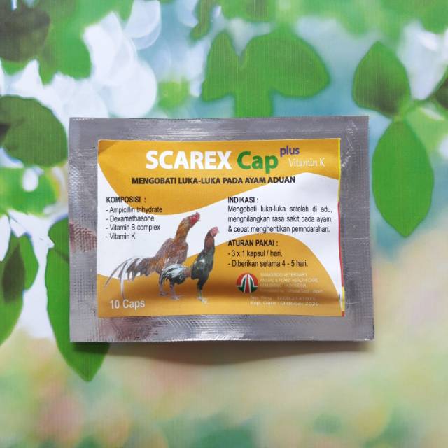 SCAREX Cap plus Vitamin K B complex Mengobati Luka pada Ayam Aduan Adu 10 kapsul