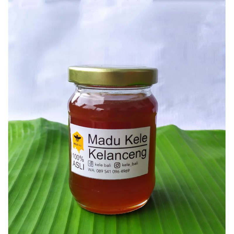 Jual Madu Kele Kelanceng Trigona Ml Shopee Indonesia