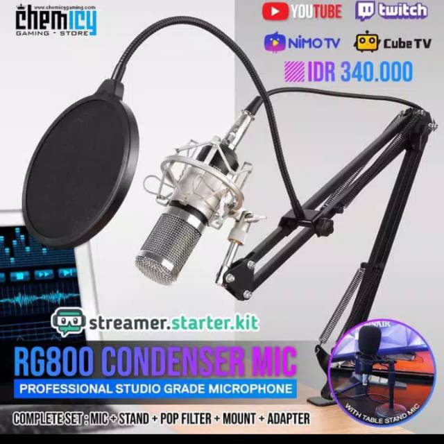 Mic Recorder RG 800 Original garansi aktif