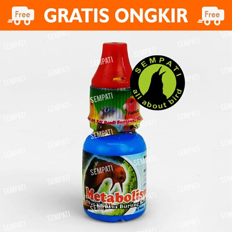 metabolis burung. kusus burung macet