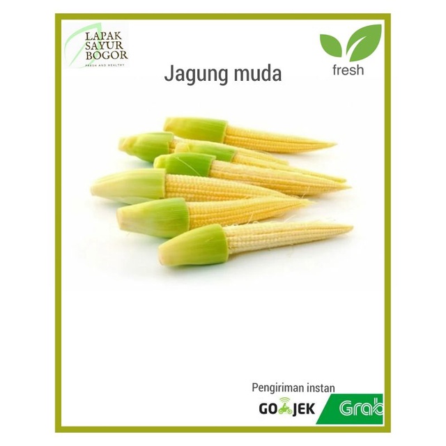 

jagung muda capcay acar kecil sayur sayur bogor