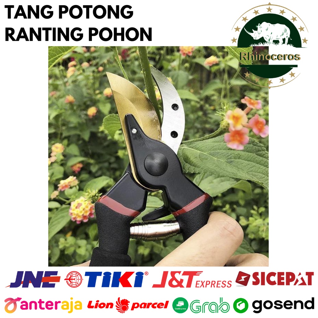 Gunting Dahan Ranting Pohon Buah Bercabang Tebal Gunting Tanaman Kebun