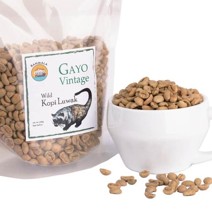 

Kopi Luwak GAYO Vintage wild green beans 500g kopi hijau -Diskon Besar
