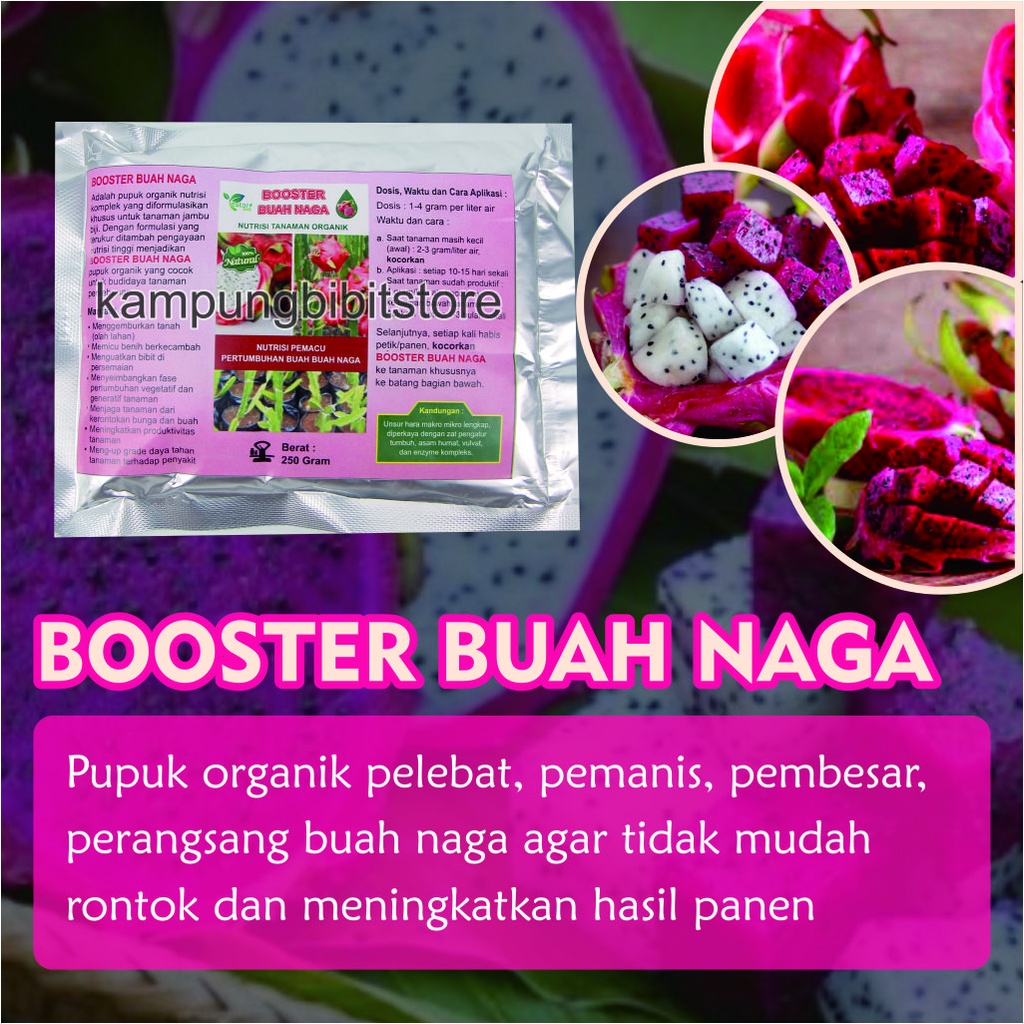 Pupuk Booster Pohon Buah naga, Booster Buah naga Agar Berbuah Lebat