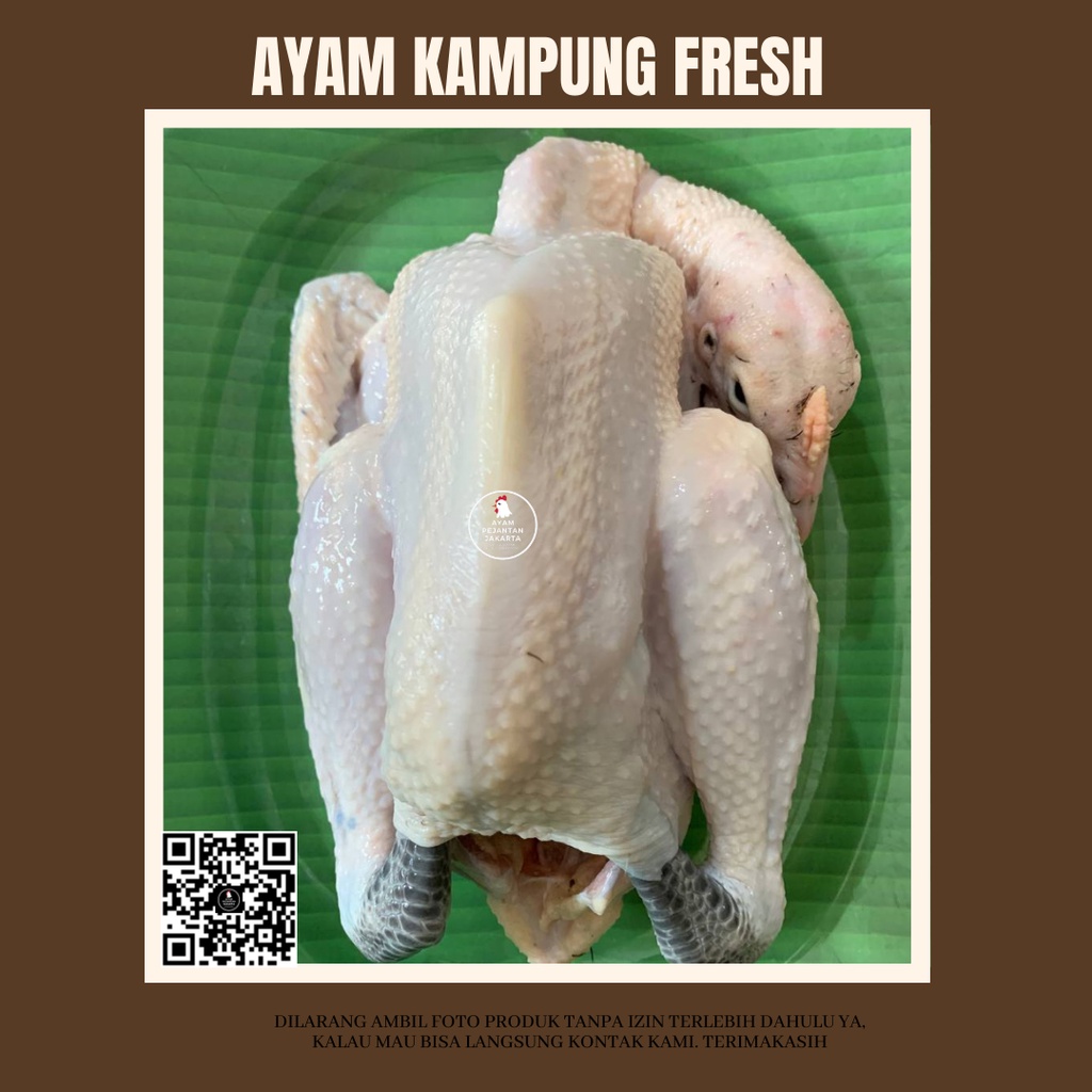 

Ayam Kampung Fresh 1kg INSTANT