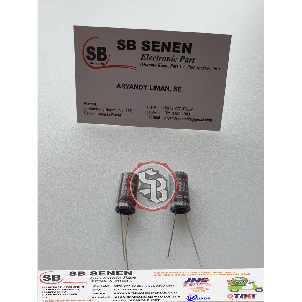 ELCO / KAPASITOR 22UF 250V