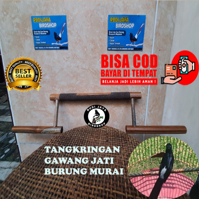 TANGKRINGAN MURAI PLANGKRINGAN GAWANG KAYU JATI AMPLAS MURAI SANGKAR BURUNG MURAI KANDANG MURAI BATU