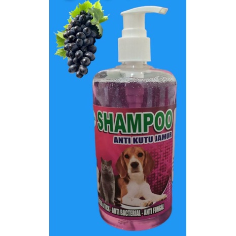 shampo kucing anjing 500ml pump anti kutu jamur dan bakteri