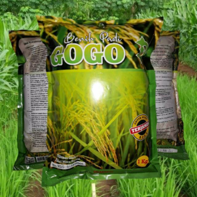 Padi Unggul Gogo Kemasan 1 Kg