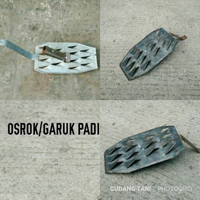 Osrok ll Garuk padi ll Garuk Matun ll Garuk Rumput