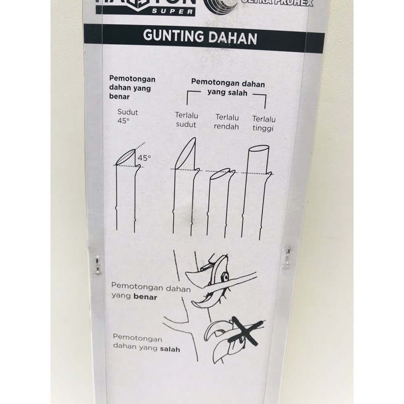 Gunting Dahan Prohex Hasston 1353-002 Ranting Bunga Tanaman Pohon - ULTRA PROHEX