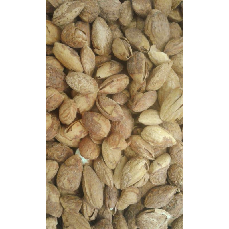 

kacang almond kulit 250gr