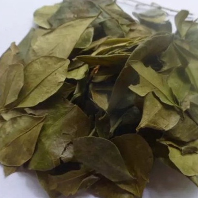 

[ORIGINAL] MURAH JAMU DAUN KEMUNING / MURRAYA PANICULATA KERING 1KG