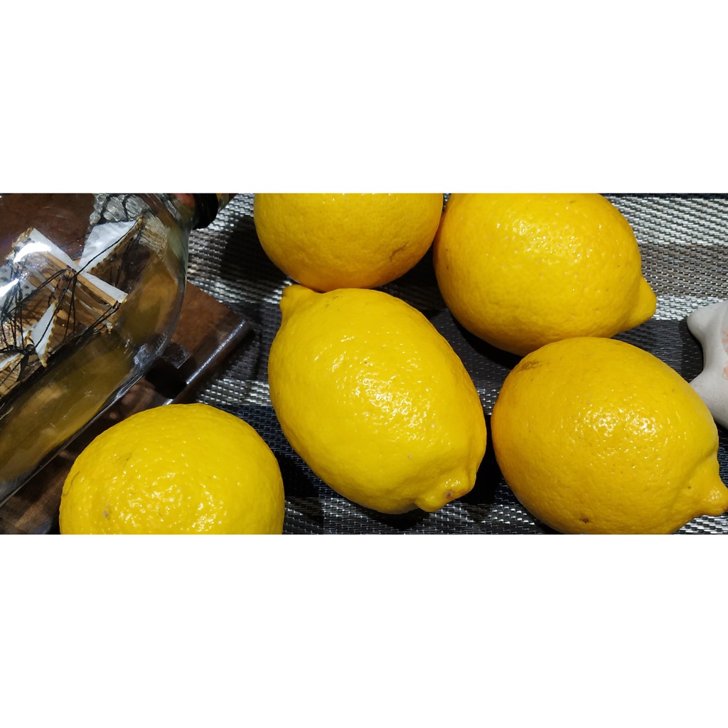 

Lemon Buah Penurun Kolesterol